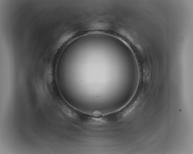 X0000111681213200907171627