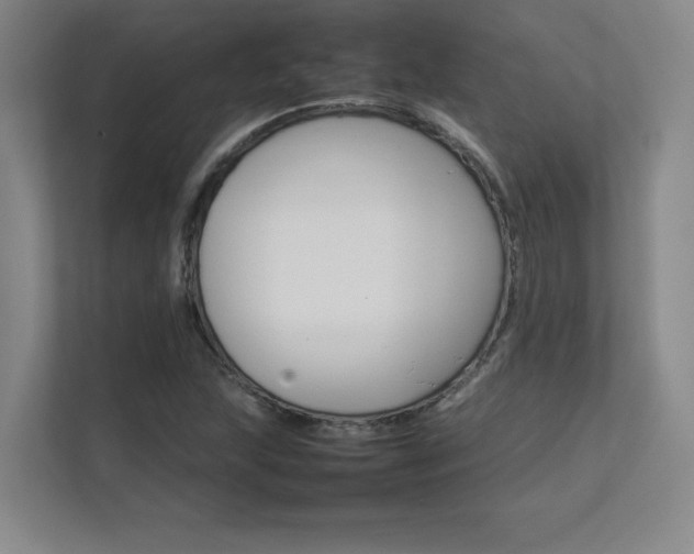 X0000111681215200907171627