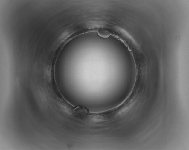 X0000111681217200907171627