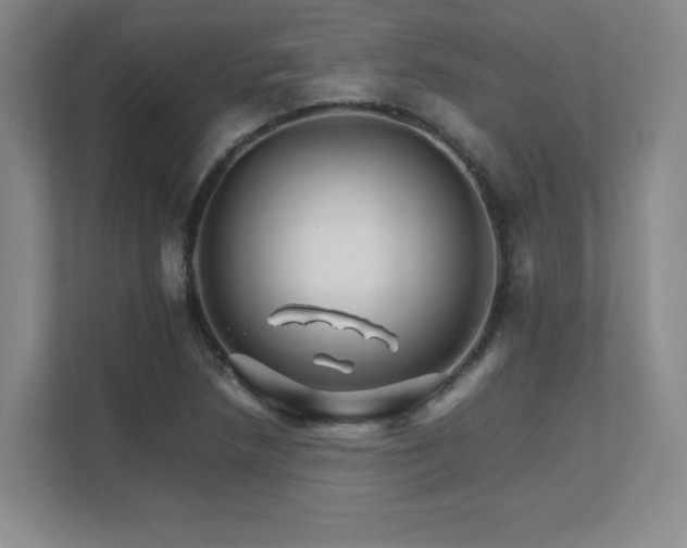 X0000111681218200907171627