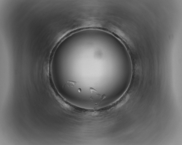 X0000111681220200907171627