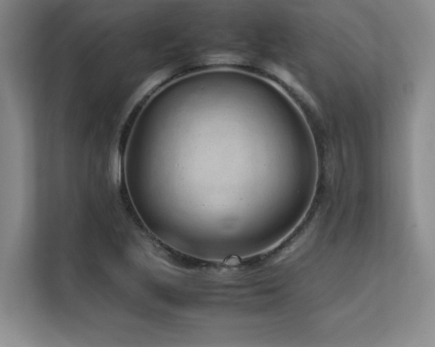 X0000111681221200907171627