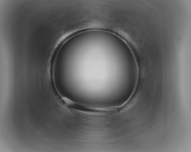 X0000111681222200907171627