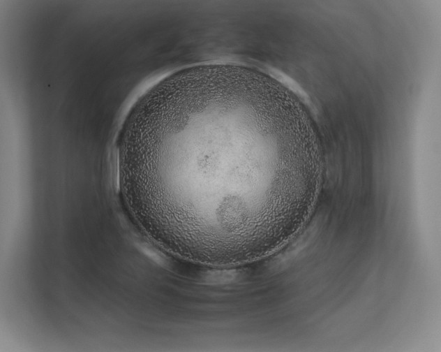 X0000111681223200907171627