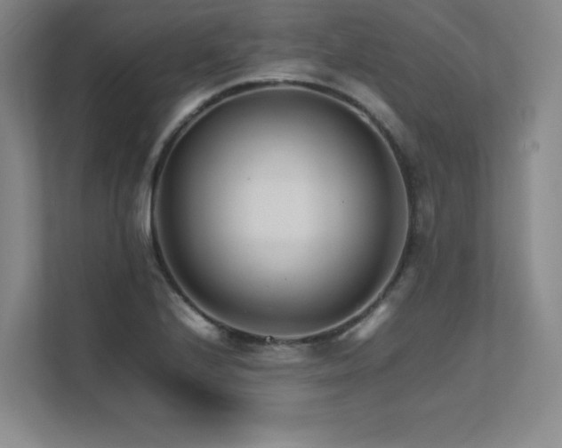 X0000111681224200907171627