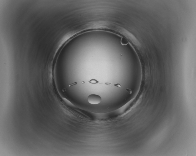 X0000111681226200907171627