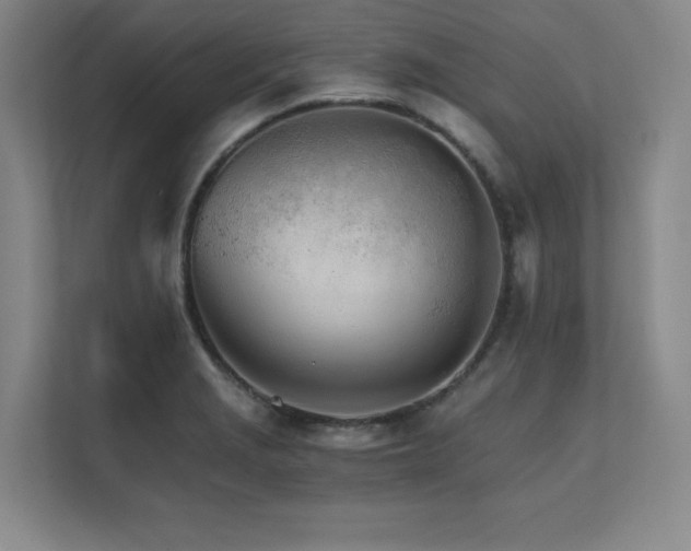 X0000111681229200907171627