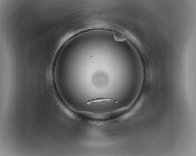 X0000111681230200907171627