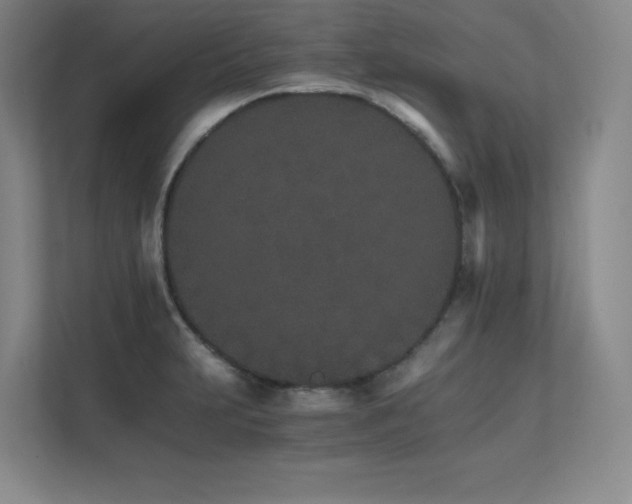 X0000111681231200907171627