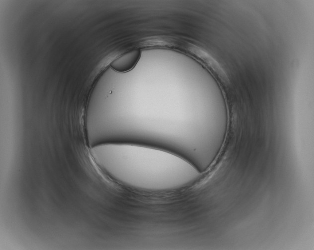 X0000111681233200907171627