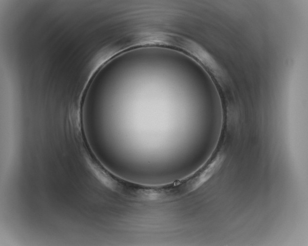 X0000111681234200907171627