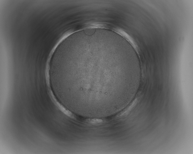 X0000111681235200907171627