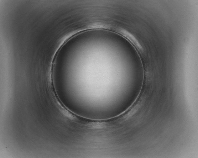 X0000111681236200907171627