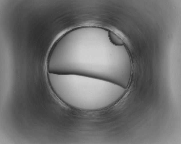 X0000111681238200907171627