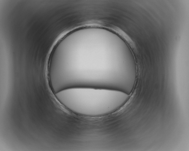 X0000111681240200907171627