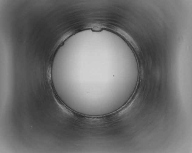 X0000111681241200907171627