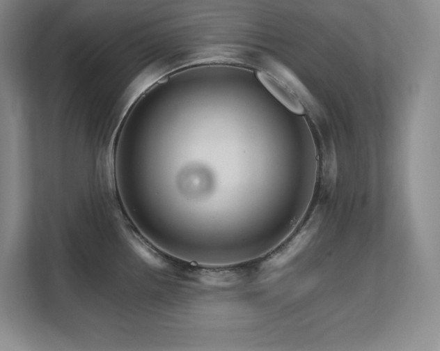 X0000111681242200907171627