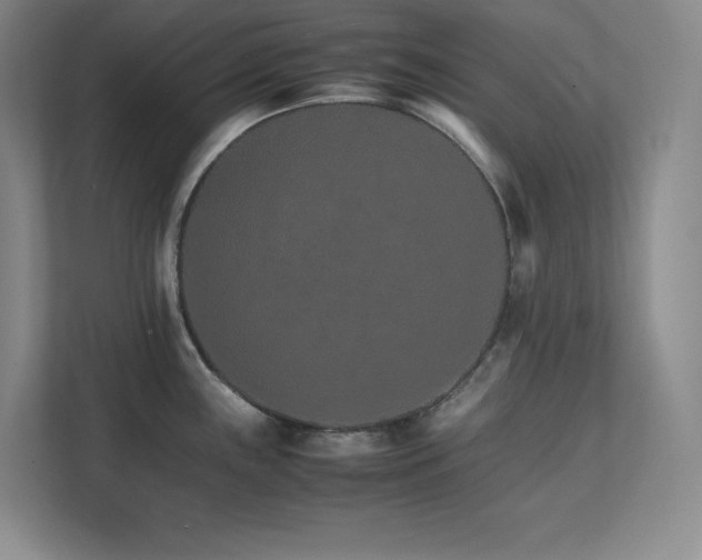 X0000111681243200907171627