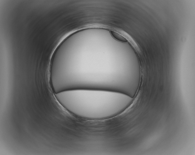 X0000111681244200907171627