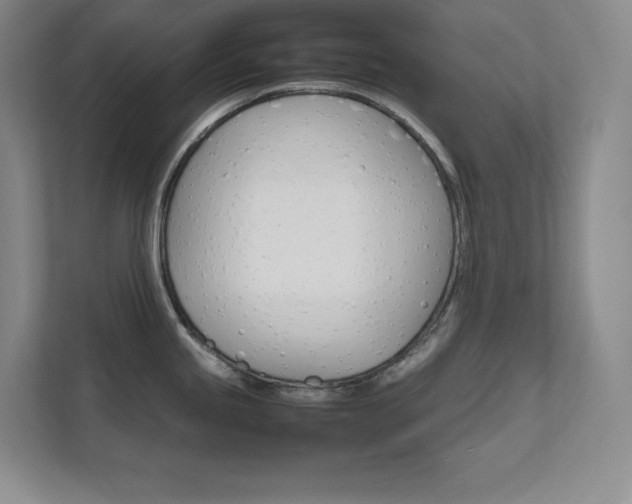 X0000111681245200907171627