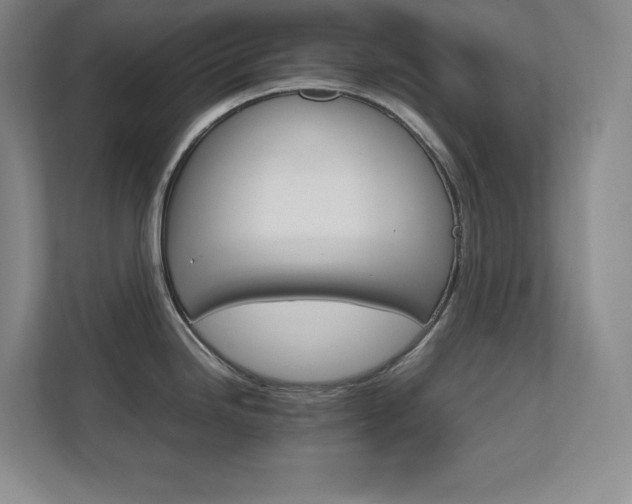 X0000111681246200907171627