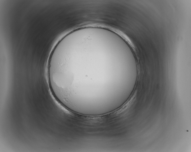 X0000111681247200907171627