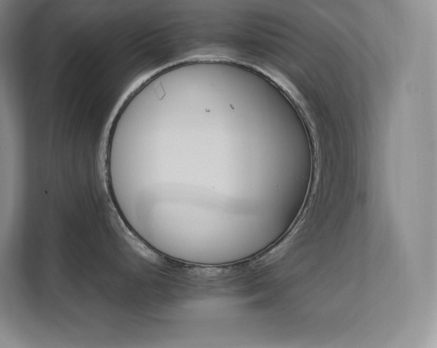 X0000111681248200907171627