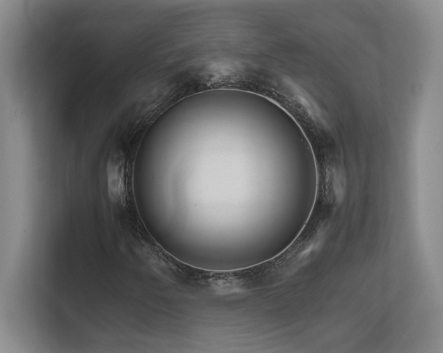 X0000111681250200907171627