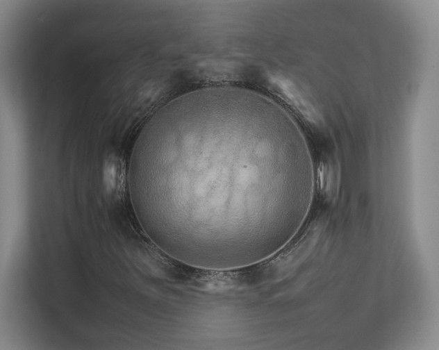 X0000111681251200907171627