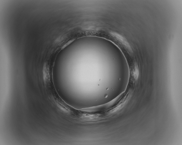 X0000111681252200907171627