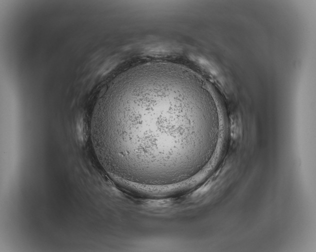 X0000111681253200907171627