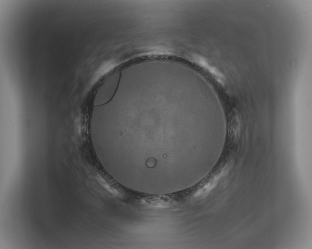 X0000111681255200907171627