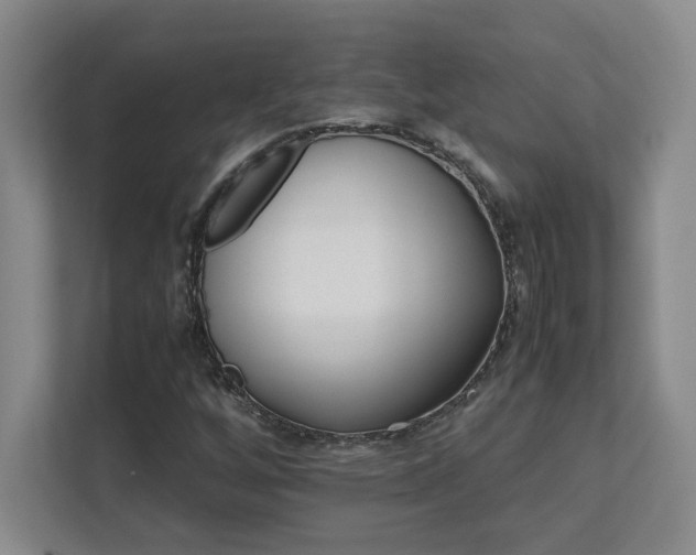 X0000111681256200907171627