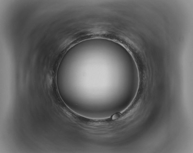 X0000111681257200907171627