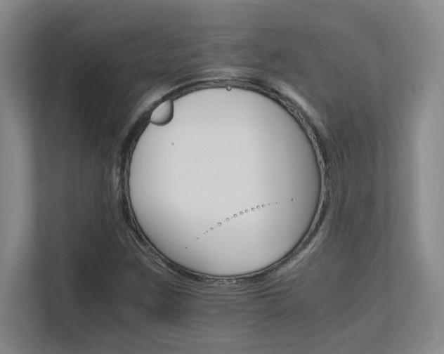 X0000111681259200907171627