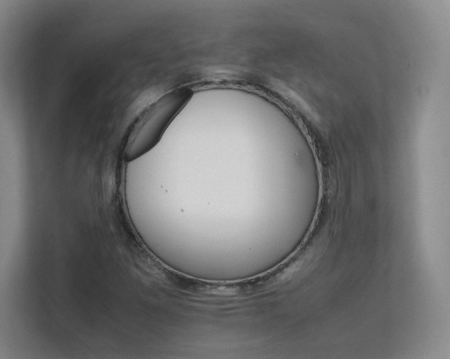 X0000111681261200907171626