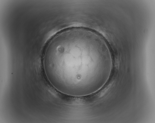 X0000111681263200907171626