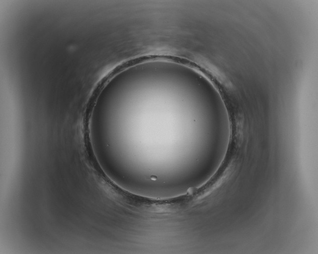 X0000111681264200907171626