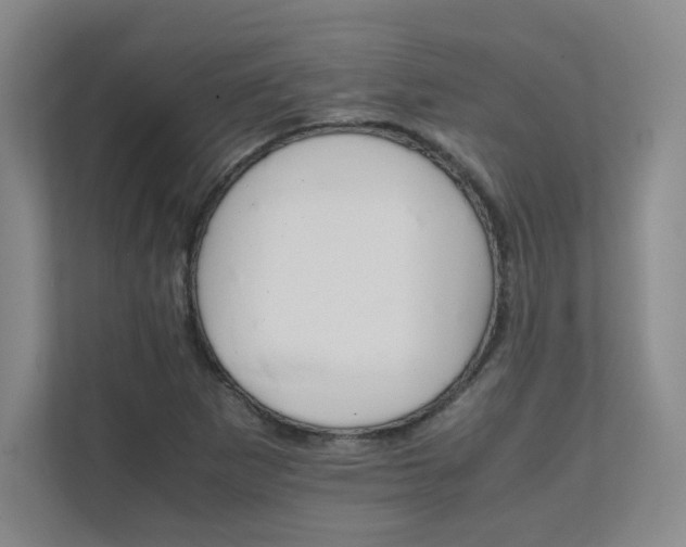 X0000111681265200907171626