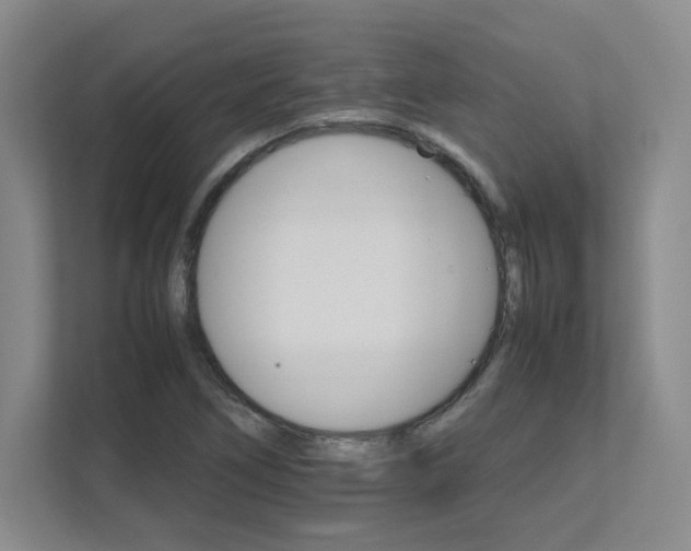 X0000111681266200907171626