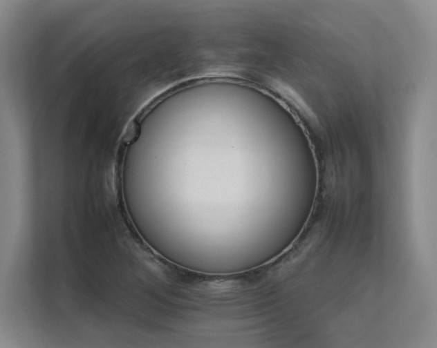 X0000111681268200907171626