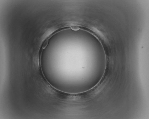 X0000111681269200907171626