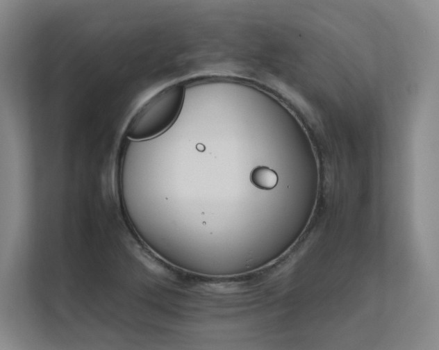 X0000111681272200907171626