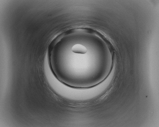 X0000111681273200907171626