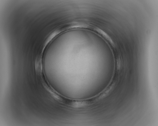 X0000111681274200907171626