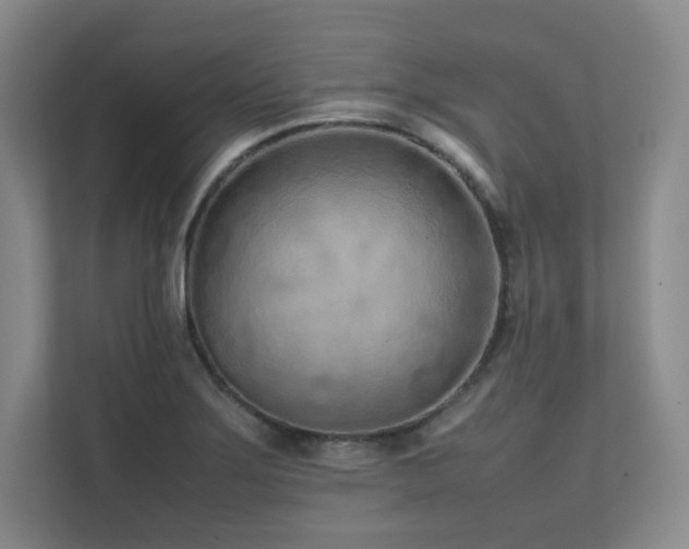 X0000111681275200907171626