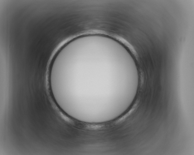 X0000111681278200907171626