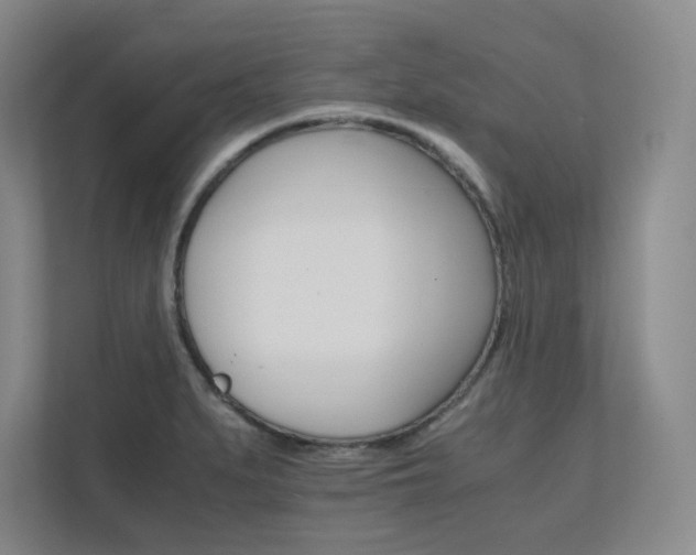 X0000111681279200907171626