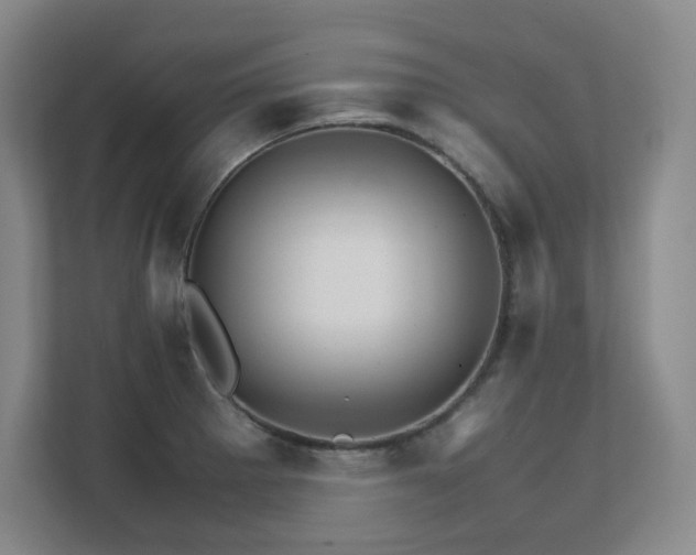 X0000111681281200907171626