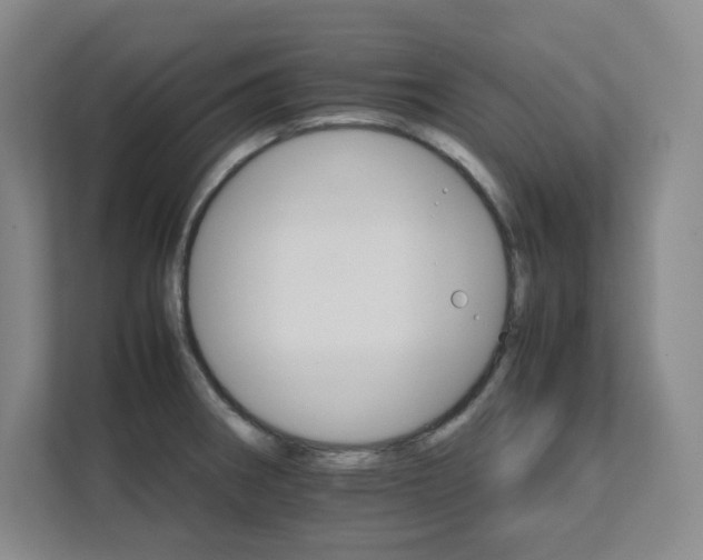 X0000111681282200907171626